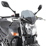Givi 247A Windscreen